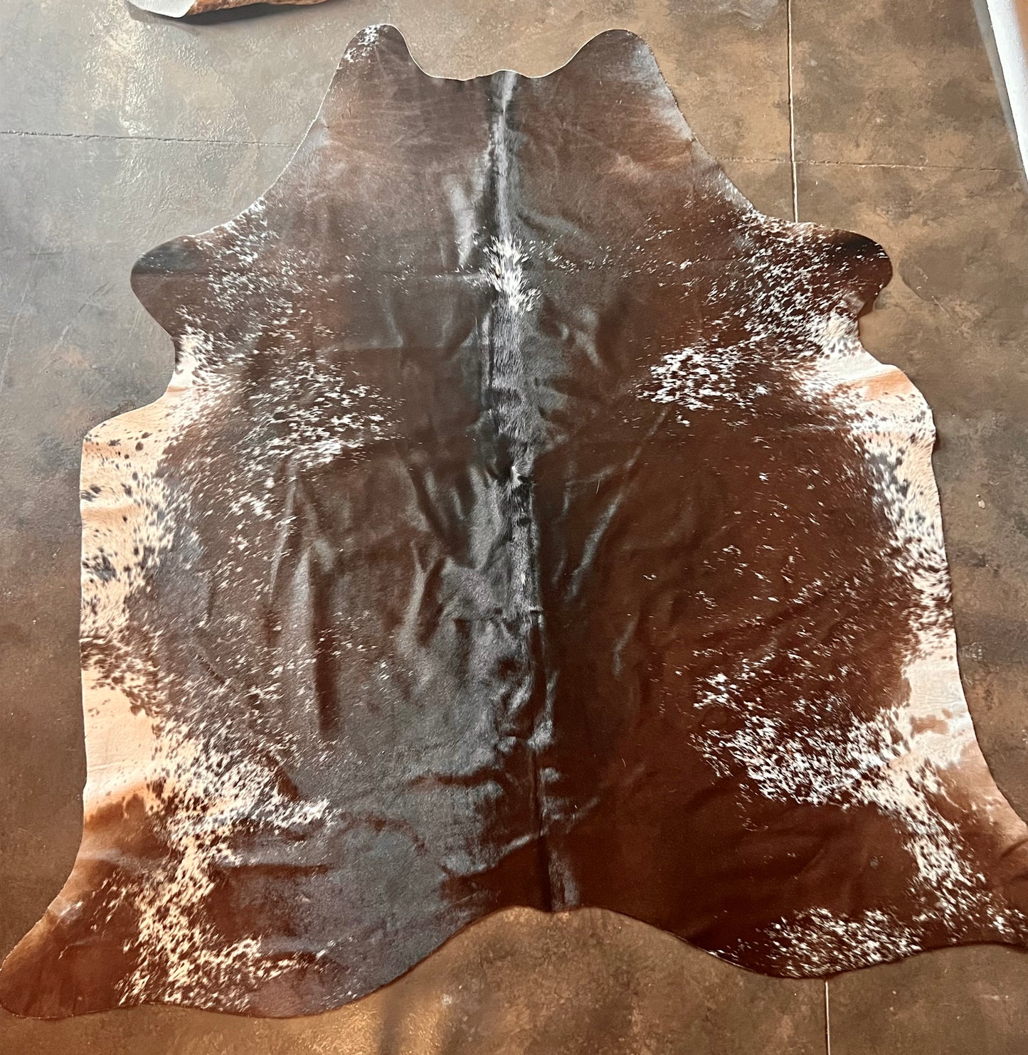 Vibrant slick haired Cowhide